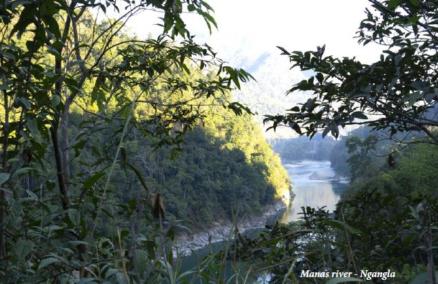 river manas of bhutan